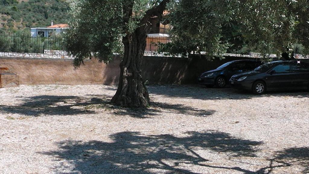 Villa Maro Skopelos Buitenkant foto